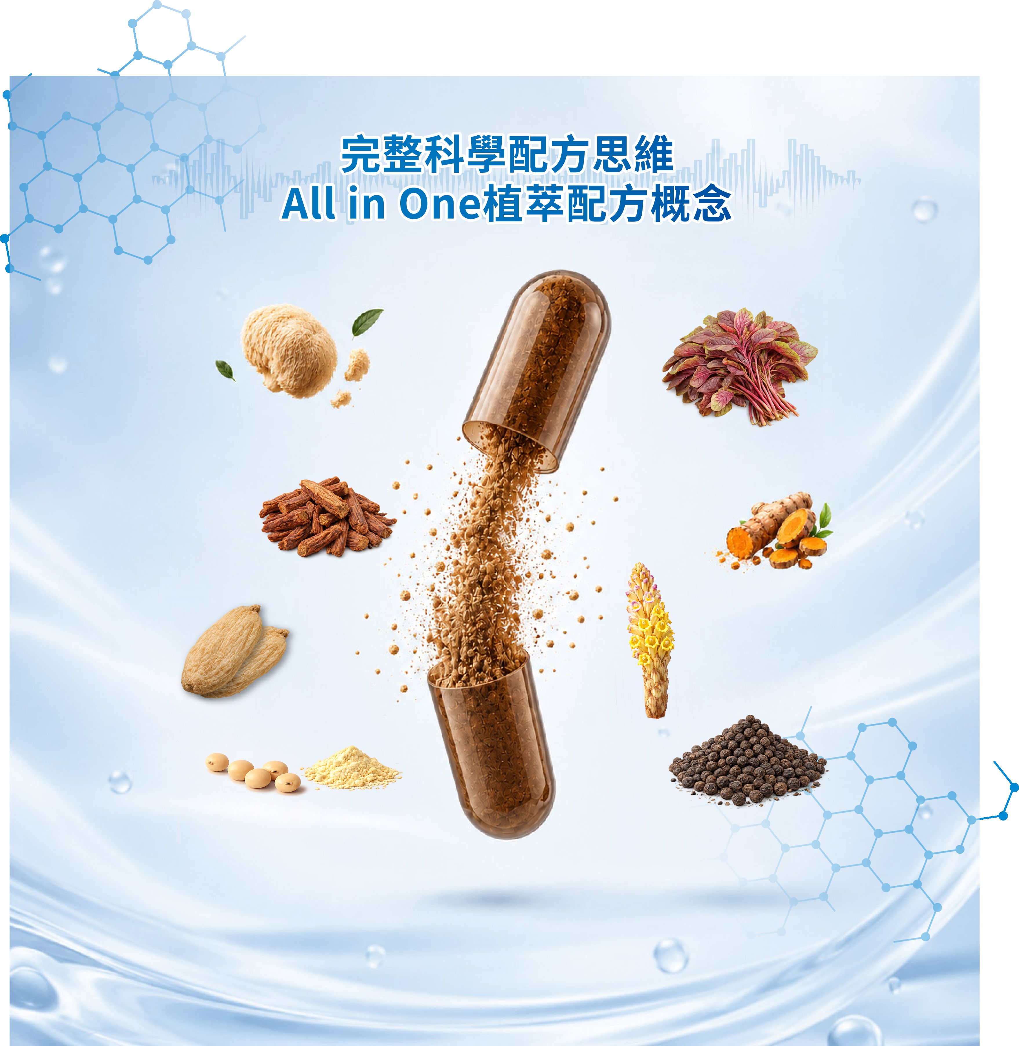 爾立明 猴頭菇草本複方膠囊